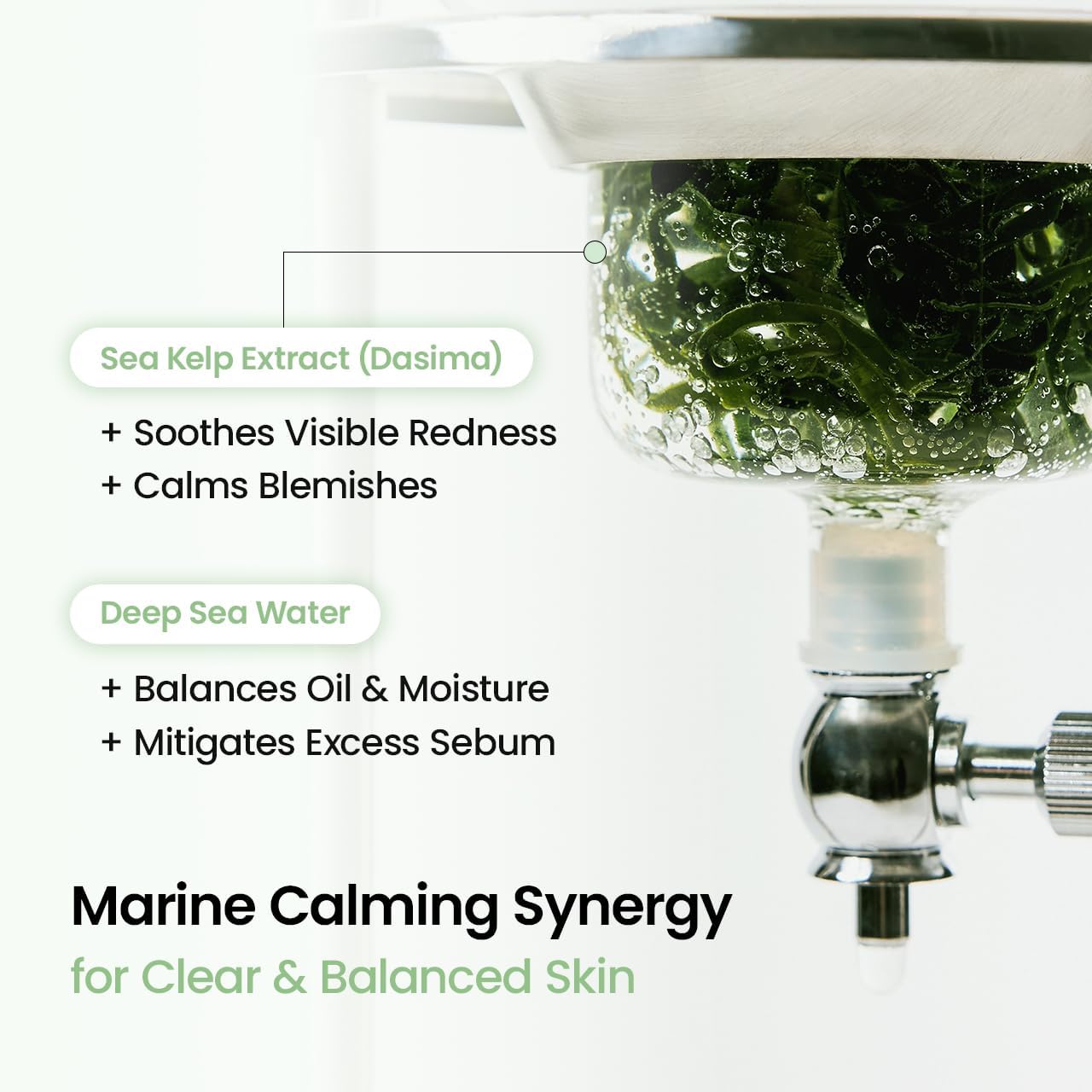 Biodance Sea Kelp Deep Mask 4 pack - Biodance K-Beauty