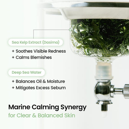 Biodance Sea Kelp Deep Mask 4 pack - Biodance K-Beauty