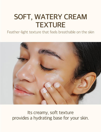 Mixsoon Bean Sunscreen SPF50 - Mixsoon K-Beauty