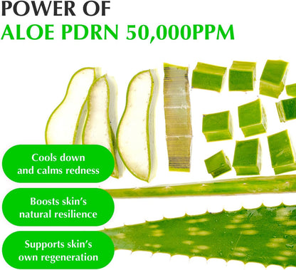 Eqqualberry Aloe PDRN Calming Serum - Eqqualberry K-Beauty