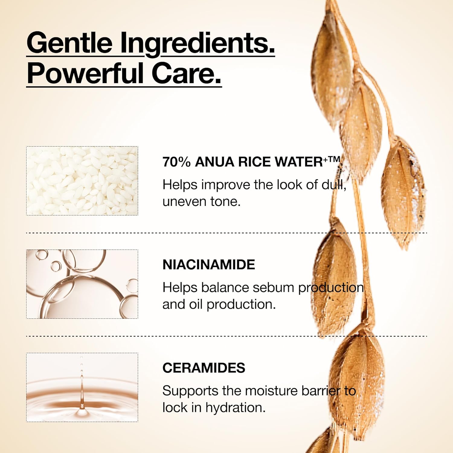 Anua Rice 70 Glow Milky Toner 250ml - Anua K-Beauty