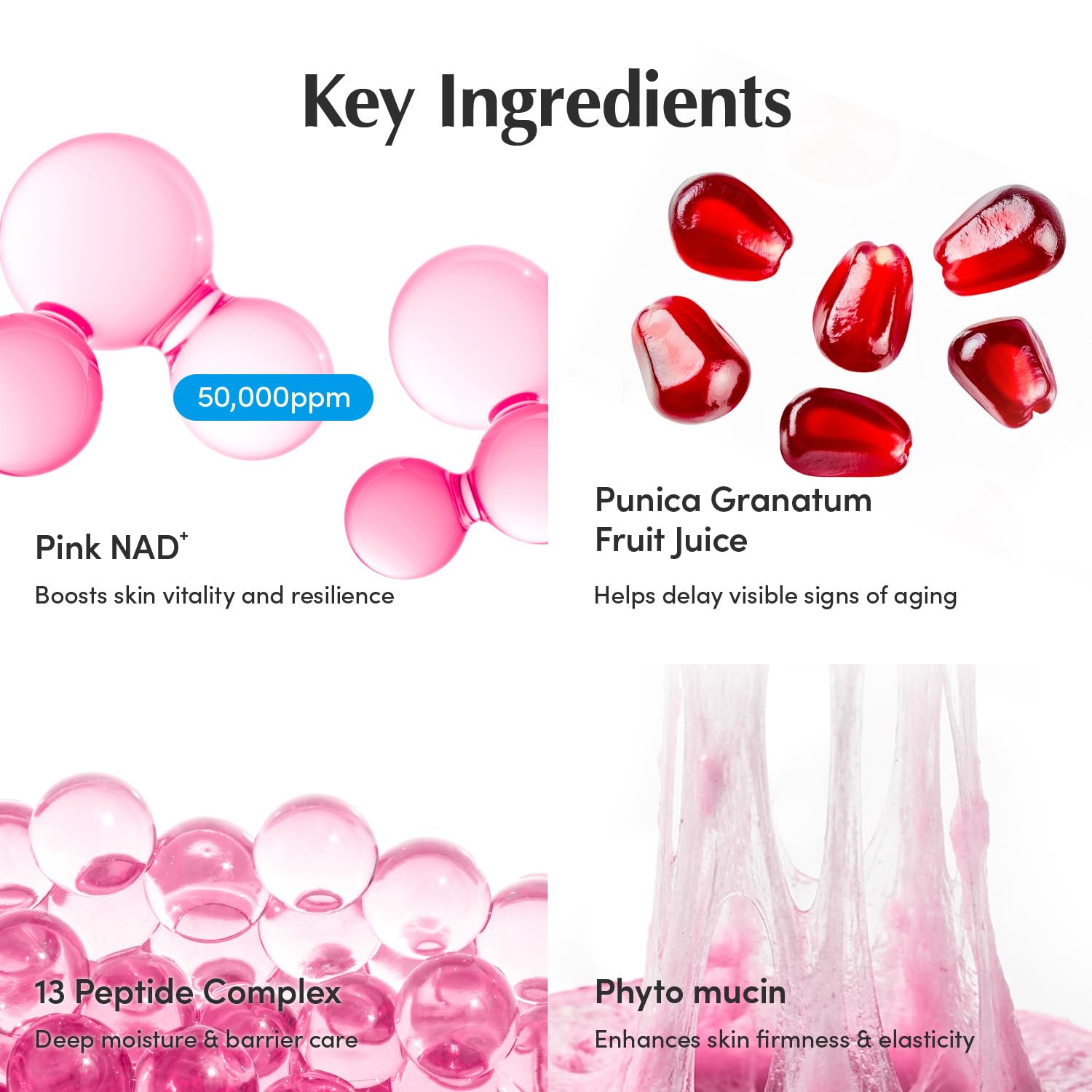 Eqqualberry Nad Plus Peptide Boosting Cream 50ml - Eqqualberry K-Beauty