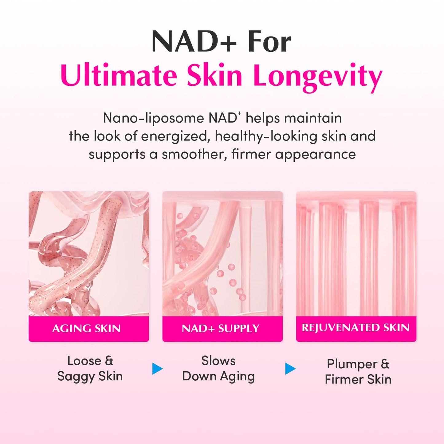 Eqqualberry Nad Plus Peptide Boosting Cream 50ml - Eqqualberry K-Beauty