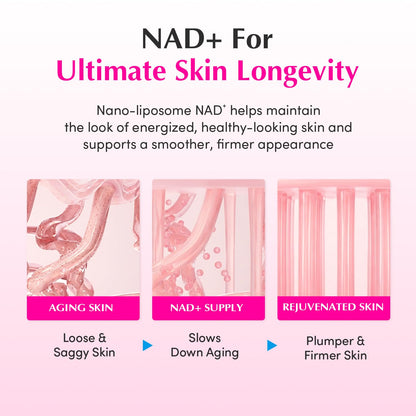 Eqqualberry Nad Plus Peptide Boosting Cream 50ml - Eqqualberry K-Beauty
